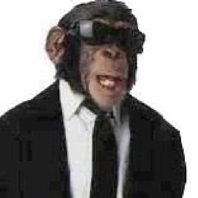 Code Monke